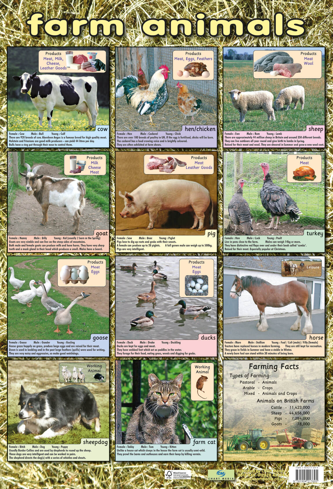 Farm Animal Poster. | chartmedia . Educational Wallcharts and Posters